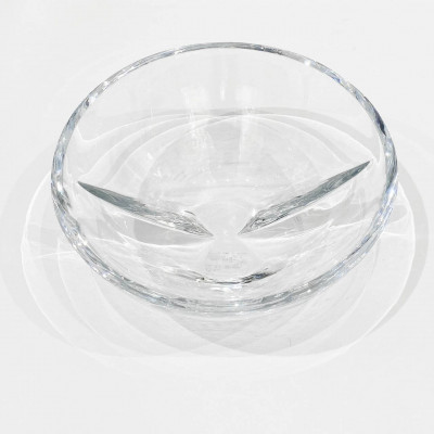Боул 25 см Beak Glas от Rosenthal